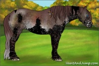 Horse Color:Void Platinum Chocolate Brown Sabino Splash Tobiano 