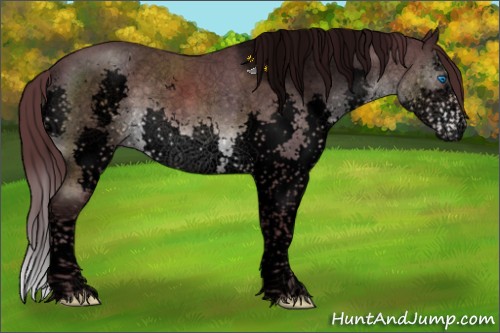 Horse Color:Void Platinum Chocolate Brown Sabino Splash 