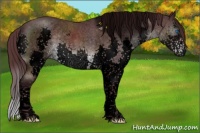 Horse Color:Void Platinum Chocolate Brown Sabino Splash 