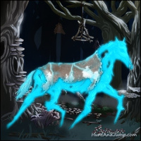 Horse Color:Thunderstruck Silver Black Splash 