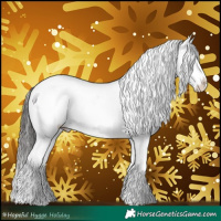 Horse Color:Brown Appaloosa 