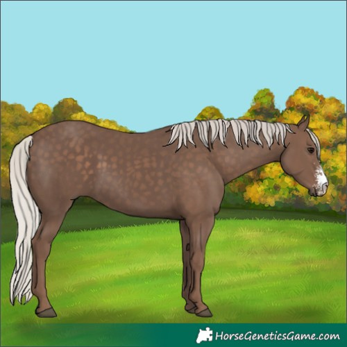 Horse Color:Silver Black Sabino 
