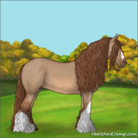 Horse Color:Red Dun