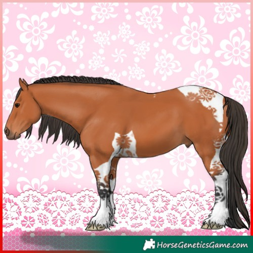 Horse Color:Bay Tobiano 