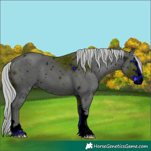 Horse Color:ERROR: UNKNOWN ANOMALY