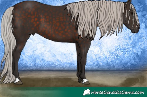 Horse Color:Silver Brown 