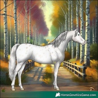Horse Color:Cremello Onyx Mushroom Appaloosa 