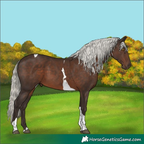 Horse Color:Liver Chestnut Mushroom Tobiano 