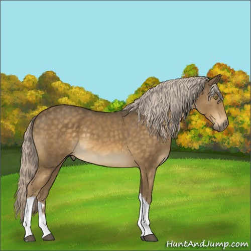 Horse Color:Chocolate Palomino Mushroom Tobiano 