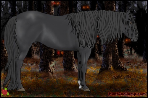 Horse Color:Black Frame 