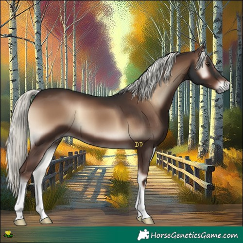 Horse Color:Liver Red Onyx Mushroom 