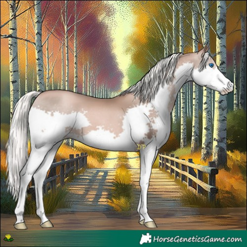 Horse Color:Liver Chestnut Pearl Mushroom Splash 