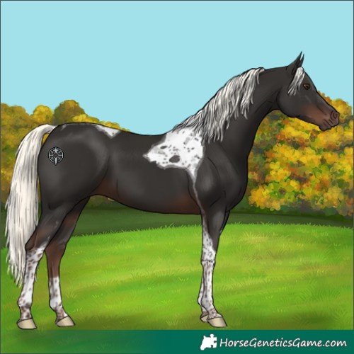 Horse Color:Liver Chestnut Mushroom Tobiano 
