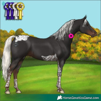 Horse Color:Liver Chestnut Mushroom Tobiano