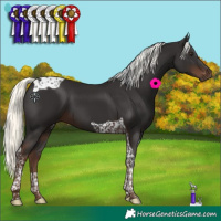 Horse Color:Liver Chestnut Mushroom Tobiano 