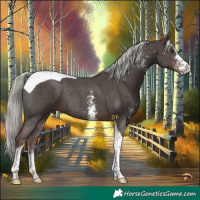 Horse Color:Liver Chestnut Mushroom Sabino Tobiano Rabicano