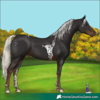 Horse Color:Liver Chestnut Mushroom Tobiano 