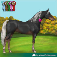 Horse Color:Liver Chestnut Mushroom Tobiano