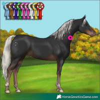 Horse Color:Liver Chestnut Mushroom Tobiano 