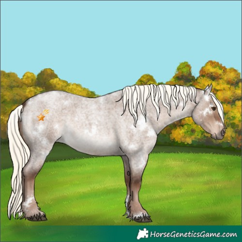Horse Color:White Spotted Liver Red Dun Roan Mushroom 