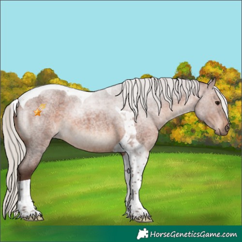 Horse Color:Silver Brown Roan Tobiano 