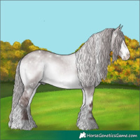 Horse Color:Platinum White Spotted Chocolate Silver Brown Onyx Sabino 