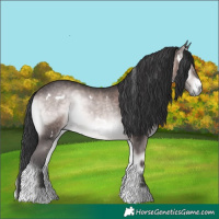 Horse Color:Platinum White Spotted Brown Onyx 
