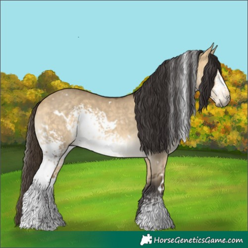 Horse Color:White Spotted Buckskin Dun 