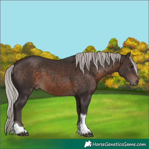 Horse Color:Silver Brown Tobiano 