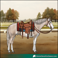 Horse Color:Chocolate Palomino Pearl Sabino