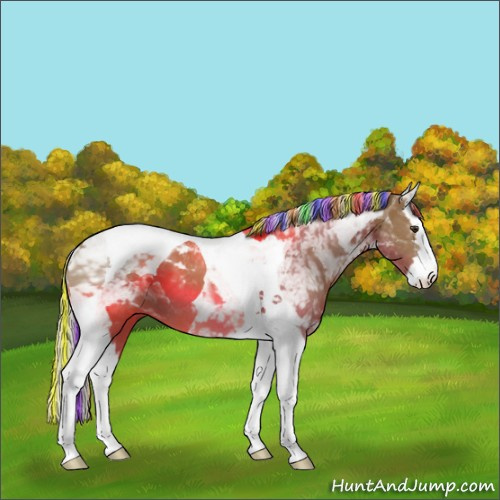 Horse Color:Painted Chocolate Palomino Splash Tobiano 