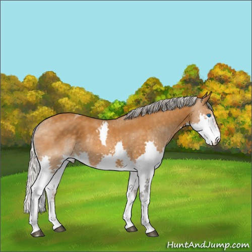 Horse Color:Silver Buckskin Splash Tobiano 