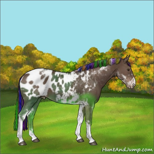 Horse Color:Painted Liver Chestnut Tobiano Appaloosa 