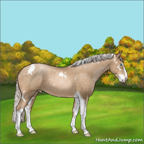 Horse Color:White Spotted Silver Buckskin Pearl Splash Tobiano 
