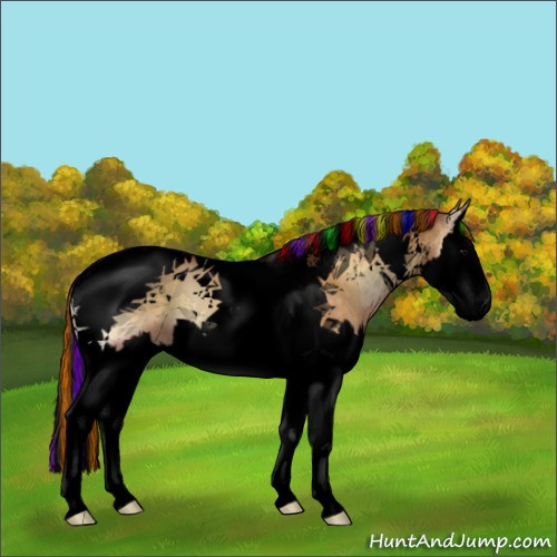 Horse Color:Void Painted Buckskin Onyx Splash Tobiano 