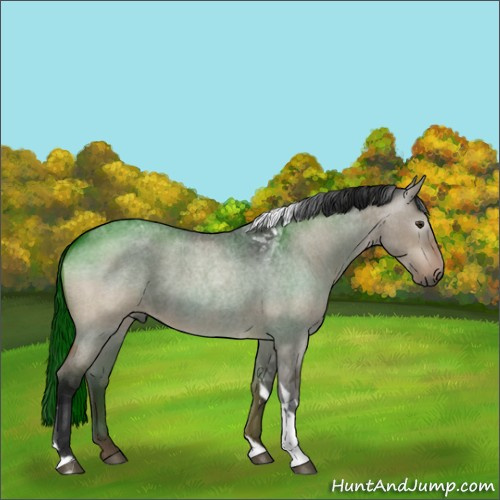 Horse Color:Gray Brown Roan Dun Tobiano 
