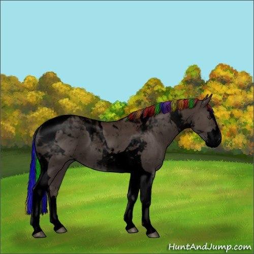 Horse Color:Void Painted Liver Chestnut Splash Tobiano 