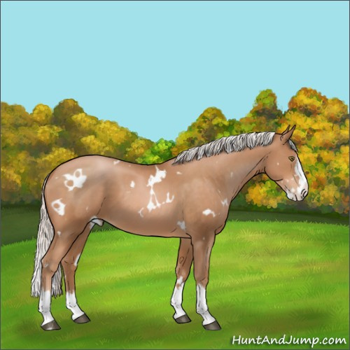 Horse Color:White Spotted Silver Brown Pearl Splash 