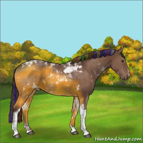 Horse Color:Painted Liver Chestnut Sabino Tobiano 