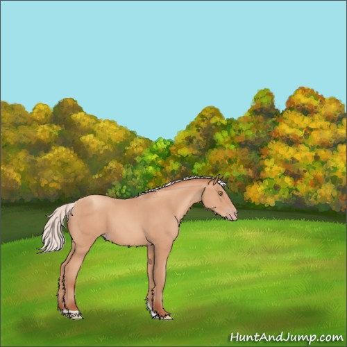 Horse Color:Silver Amber Champagne Tobiano 