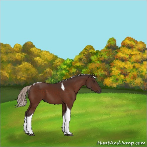 Horse Color:Silver Brown Tobiano 