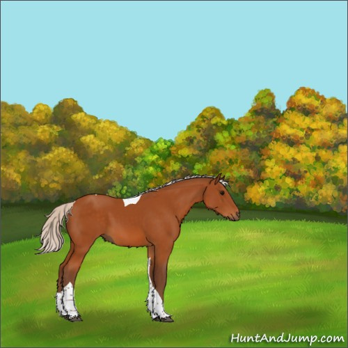 Horse Color:Silver Buckskin Tobiano 