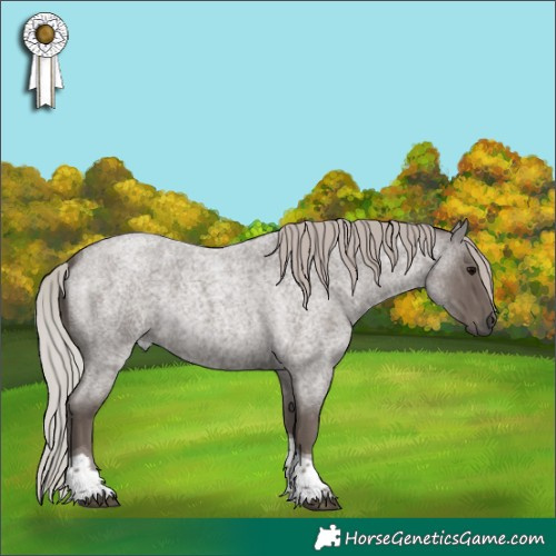 Horse Color:Silver Blue Roan Tobiano 