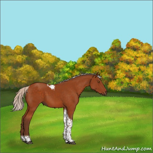 Horse Color:Silver Buckskin Tobiano 
