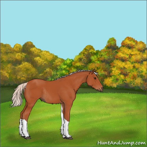 Horse Color:Silver Brown Tobiano Rabicano 
