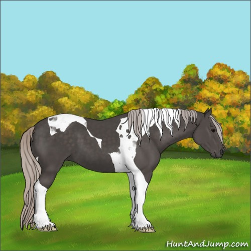 Horse Color:Silver Black Tobiano 