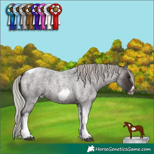 Horse Color:Silver Brown Roan Tobiano Frame 