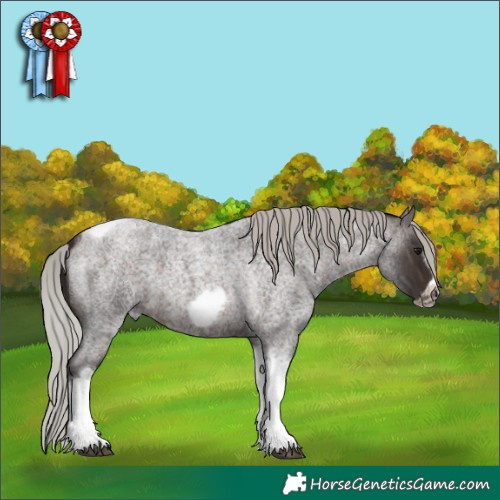 Horse Color:Silver Brown Roan Tobiano Frame 