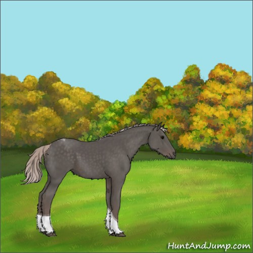 Horse Color:Silver Black Tobiano 