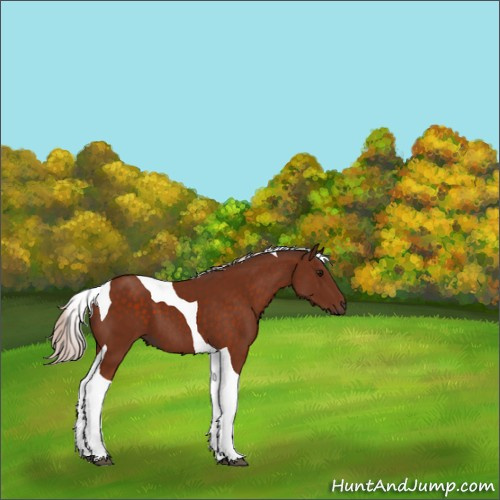 Horse Color:Silver Bay Tobiano 